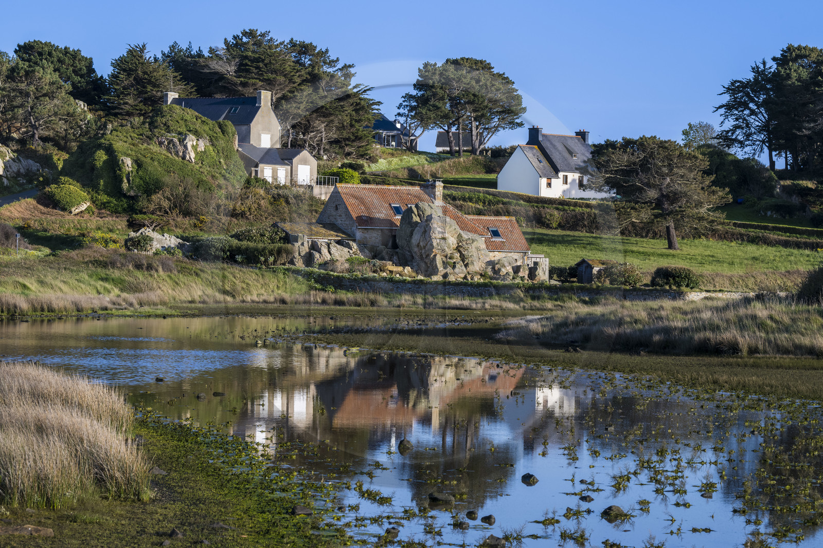 France, Côtes-d'Armor (22), Côte d'Ajoncs, Plougrescant, maisons en bordure du site du gouffre de Plougrescant sur le chemin de Grande Randonnée GR 34