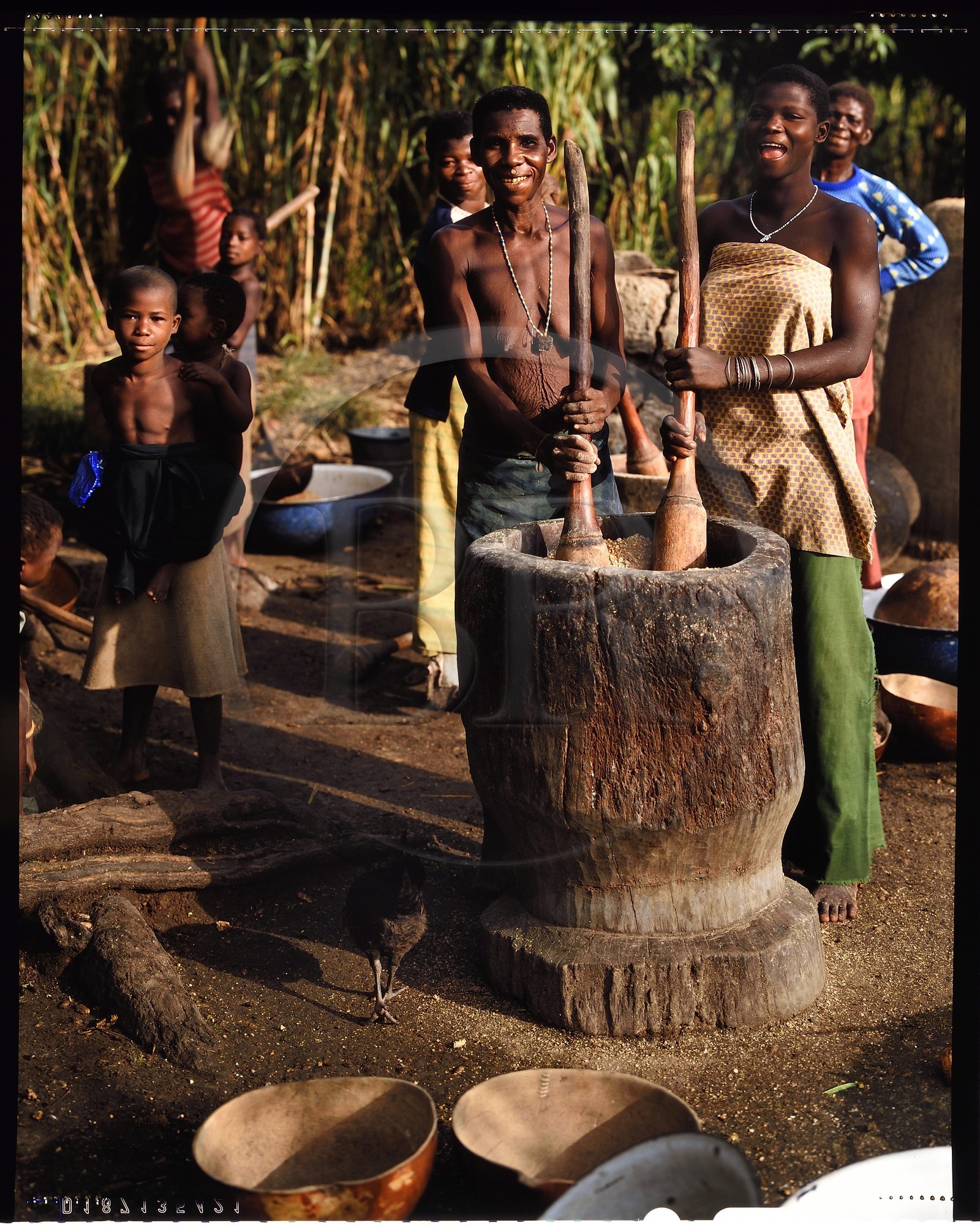 Burkina Faso, province de Poni, pays des Lobi, région de Loropéni, épouses du chef de village de Lakar pilant le mil (céréale)