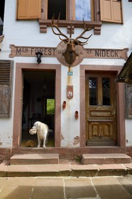 France, Bas Rhin, between Wangenbourg-Engenthal and Oberhaslach, the Nideck forest house