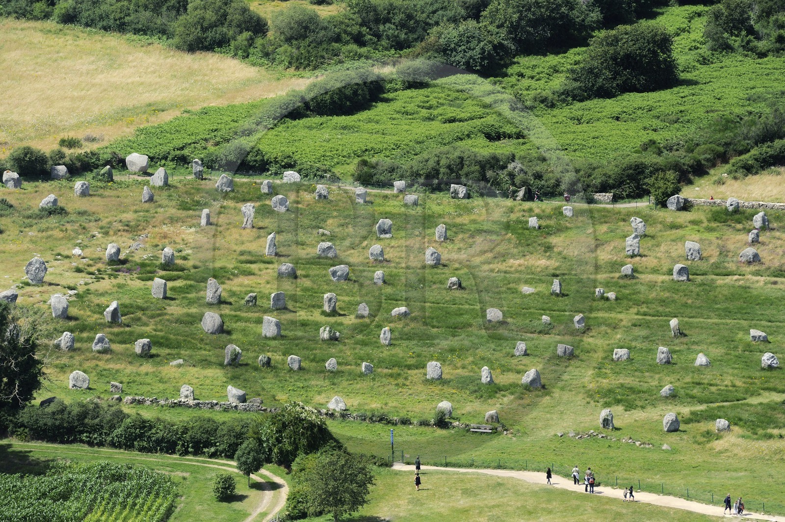 France, Morbihan (56), Carnac, alignement mégalithique du Menec (vue aérienne)