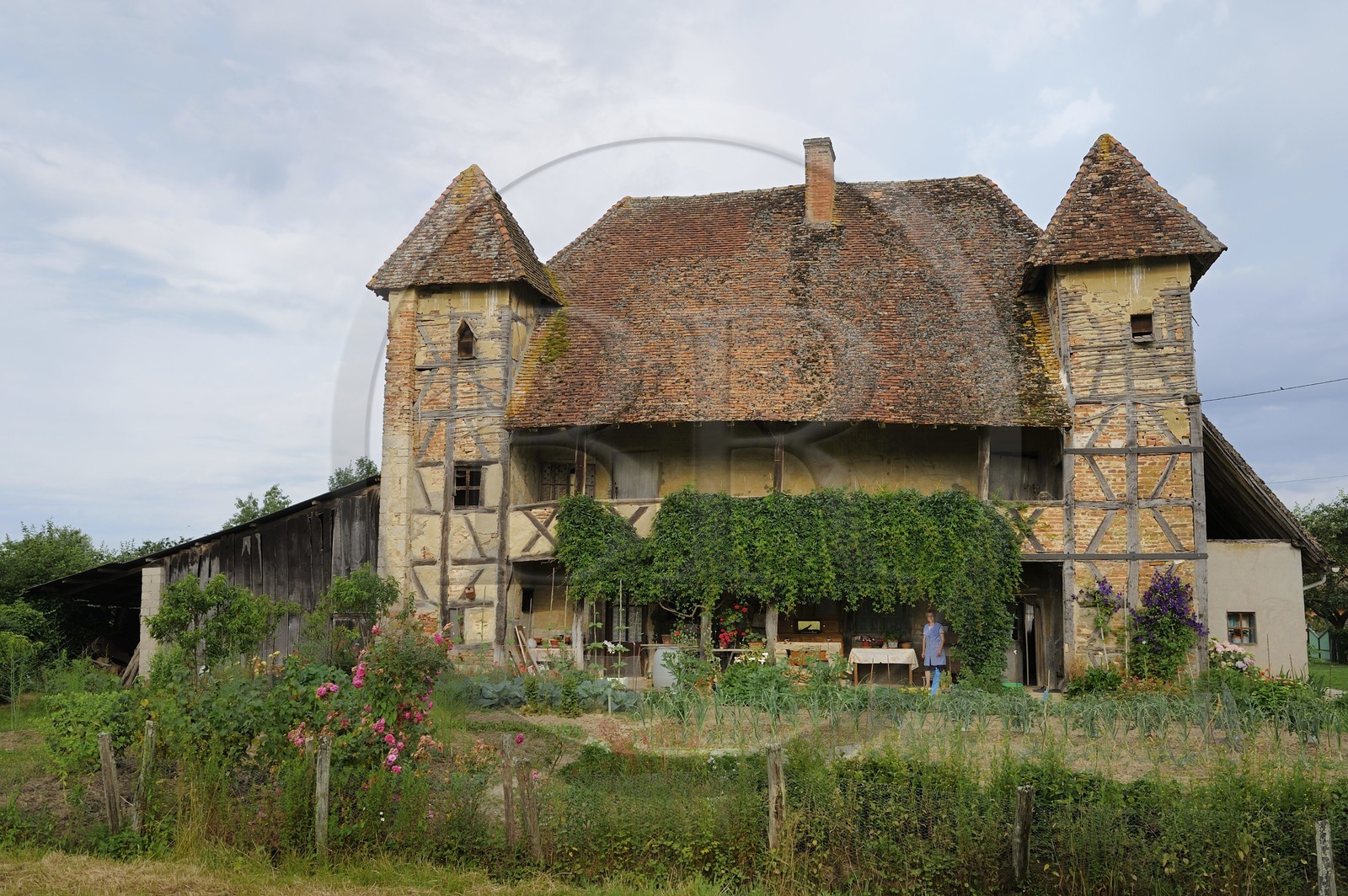 France, Saône et Loire (71), Sagy, la Ferme du Bailly ferme bressane traditionnelle à étage et colombage