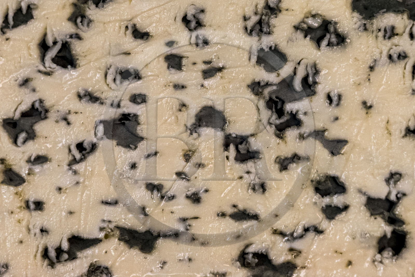 France, Aveyron (12), parc naturel régional des Grands-Causses, Roquefort-sur-Soulzon, le fromage de Roquefort de la marque Gabriel Coulet