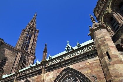 France, Bas-Rhin (67), Strasbourg, vieille ville classée au Patrimoine Mondial de l'UNESCO, la cathédrale Notre-Dame, la flèche et chien perché sur un pinacle de la facade sud