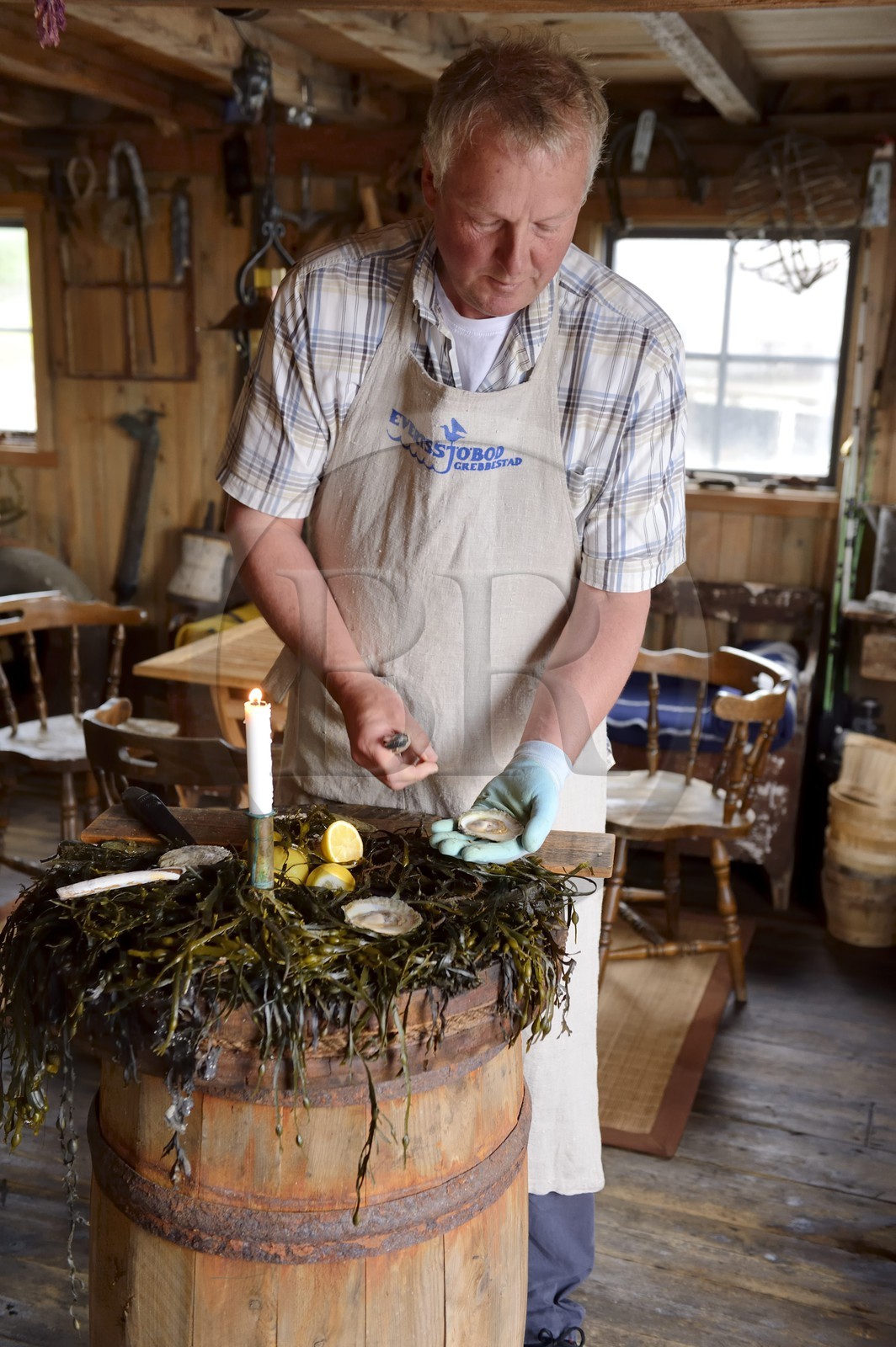 Suède, Västra Götaland, Grebbestad, Lars Karlsson dans sa ferme ostréicole de Everts Sjöbod (Boathouse Evert)