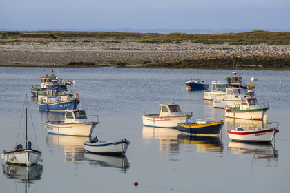 France, Finistère (29), Mer d'Iroise, Ile de Molène, les bateaux de pêches sont au mouillage à la belle saison entre le bourg et l'ilot Lédenez Vraz en arrière plan