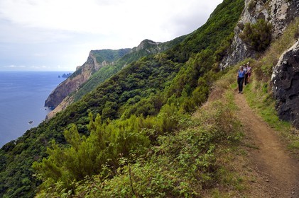 Portugal, Ile de Madère, randonnée de Machico à Porto da Cruz par le Vereda do Larano, sentier taillé à flanc de paroi dans la falaise de Larano