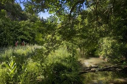 France, Vaucluse, Mont Ventoux Regional Natural Park, Monieux, Gorges de La Nesque, hiking along the Nesque river