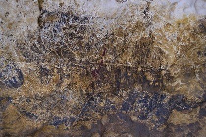 France, Dordogne (24), Montignac, chantier du futur Centre International de l'Art pariétal de Montignac-Lascaux (Lascaux 4), espace pédagogique reprenant des panneaux de la grotte réalisés par l’Atelier des Fac-Similés du Périgord (AFSP), reproduction du cerf qui se trouve dans l'absyde de la grotte