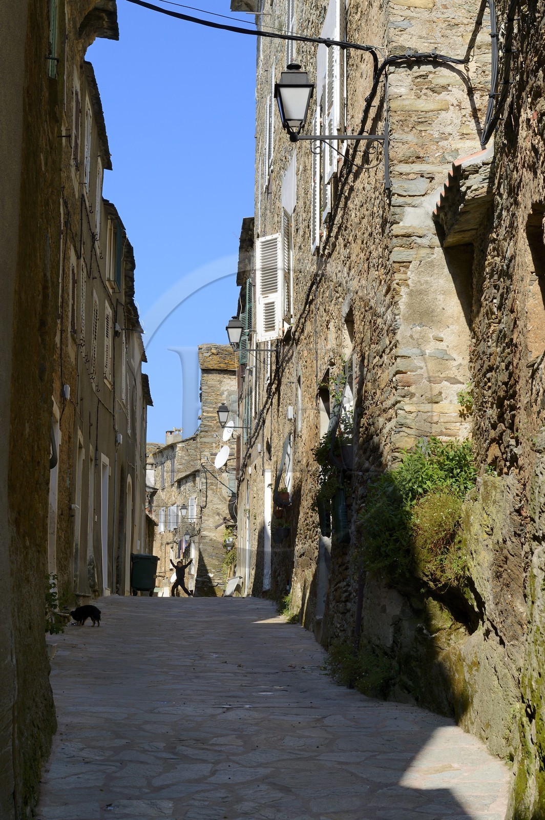 France, Haute-Corse (2B), région de la Casinca en Castagniccia, maisons de schiste dans la rue principale du village de Venzolasca