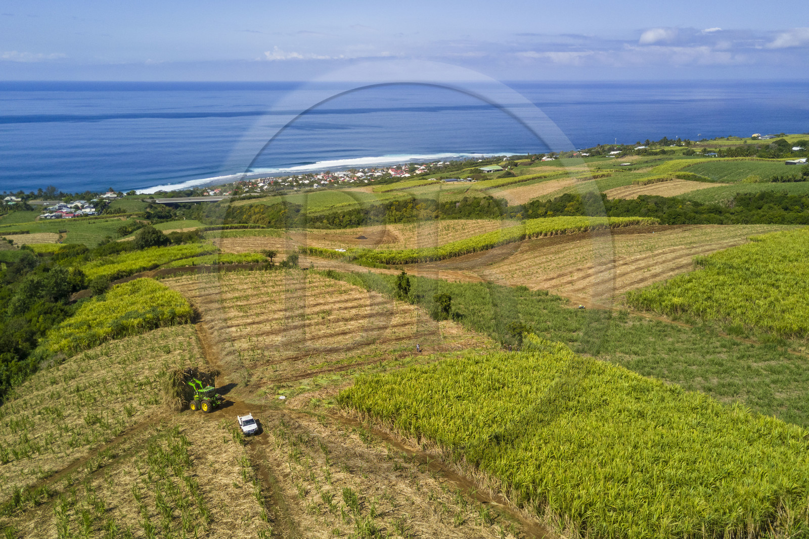 France, Ile de la Reunion, Petite-Ile, coupe et récolte de la canne à sucre (vue aérienne)