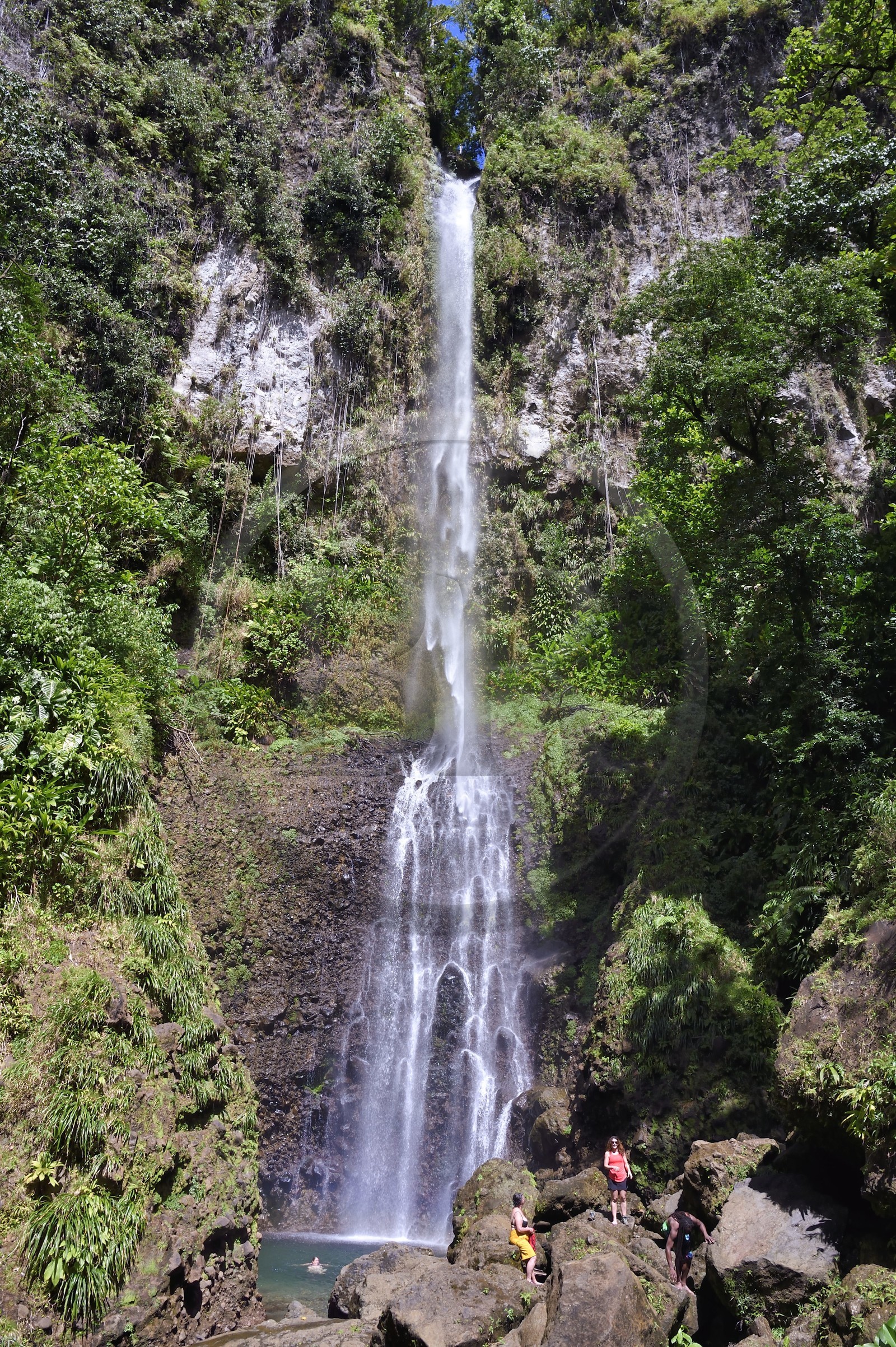 Caraïbes, Ile de la Dominique, Parc national du Morne Trois Pitons classé Patrimoine Mondial de l'UNESCO, randonneur à la cascade de Middleham Falls sur le sentier de randonnée Waitukubuli qui traverse l’ile