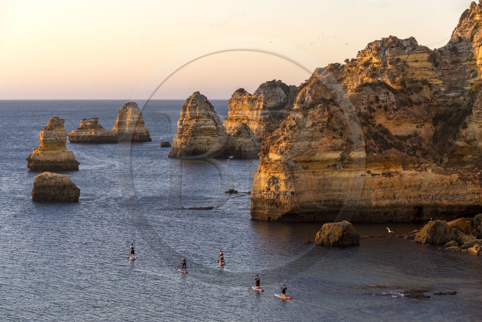 Portugal, Algarve, Lagos, escursion en stand up paddle au lever de soleil depuis la plage de Praia Dona Ana bordée par des falaises escarpées