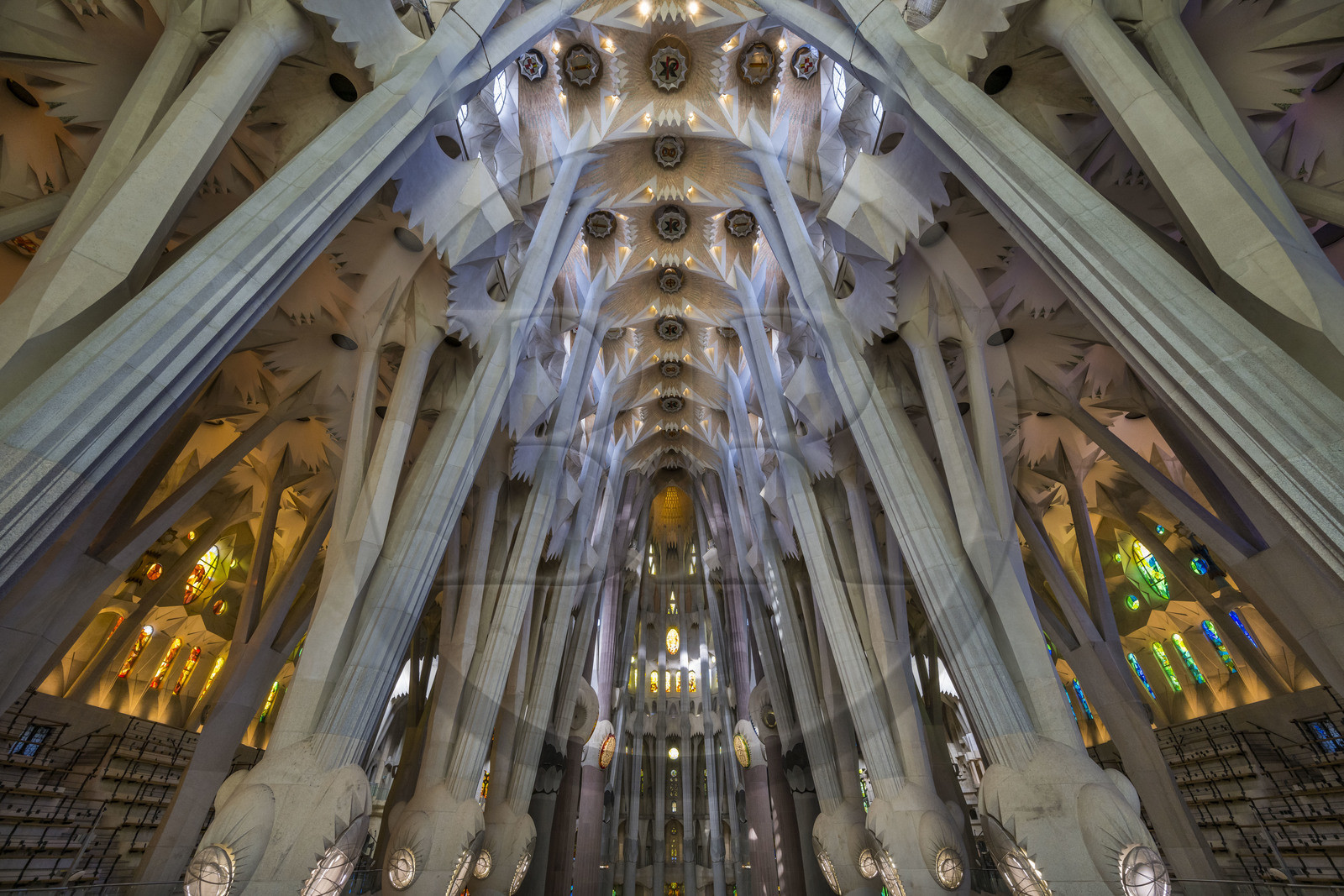 Espagne, Catalogne, Barcelone, quartier de l'Eixample, basilique de la Sagrada Familia de l'architecte du modernisme catalan Antoni Gaudi classée Patrimoine Mondial de l'UNESCO, vue de la nef et sa voute depuis la facade de la Gloire