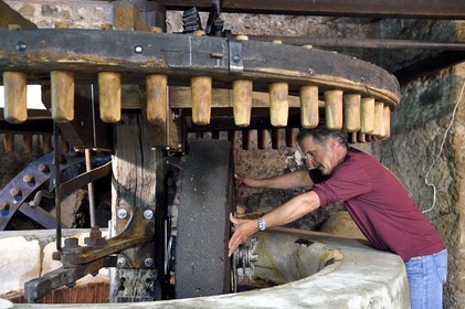 France, Var, the Dracenie, village de Tourtour, labelled Les Plus Beaux Villages de France (The Most Beautiful Villages of France), the master mill Jean-Marc Simon in front of the municipal olive mill
