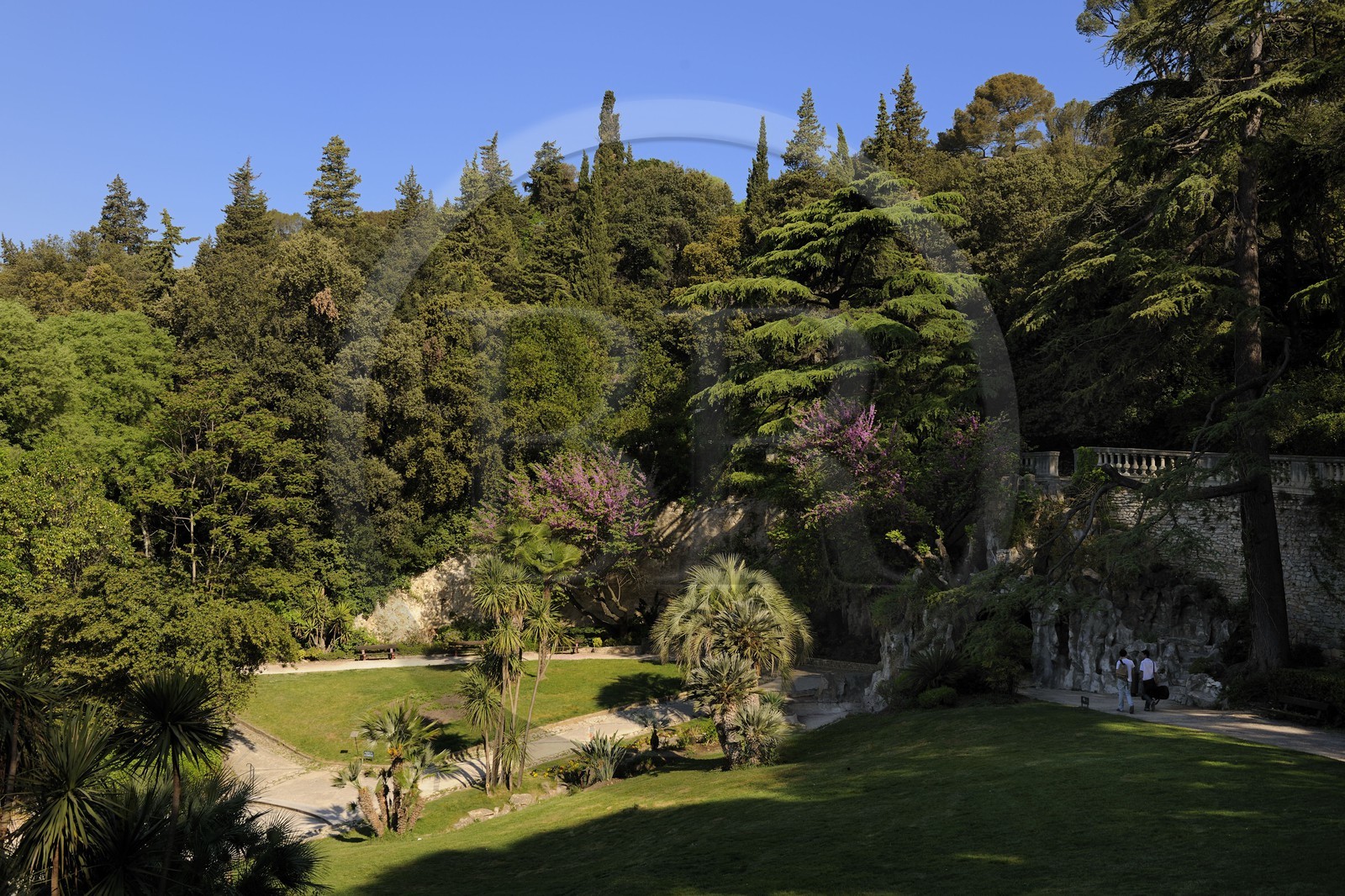 France, Gard, Nimes,  the Jardins de la Fontaine (fountain gardens)