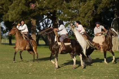 Argentine, province de Buenos Aires, San Antonio de Areco, estancia La Bamba de Areco, gauchos jouant au Pato (horse-ball) qui est un sport d’équipe équestre, mélange de rugby et de basket à cheval