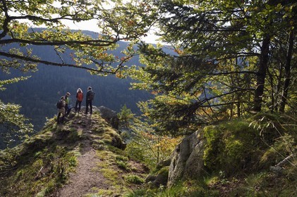 France, Vosges (88), Le Valtin, randonnée au lieu dit les Roches qui surplombe la vallée du Valtin dans la haute-vallée de la Meurthe sur le circuit des Roches