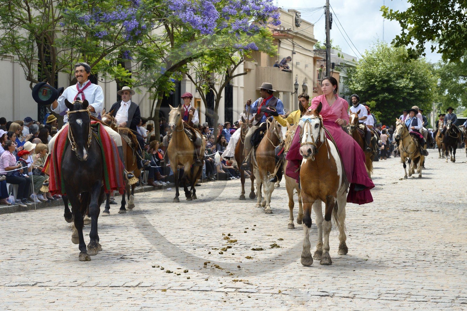 Argentine, province de Buenos Aires, San Antonio de Areco, fête du Jour de la Tradition (Dia de la Tradicion), gauchos à cheval défilant en habit traditionnel