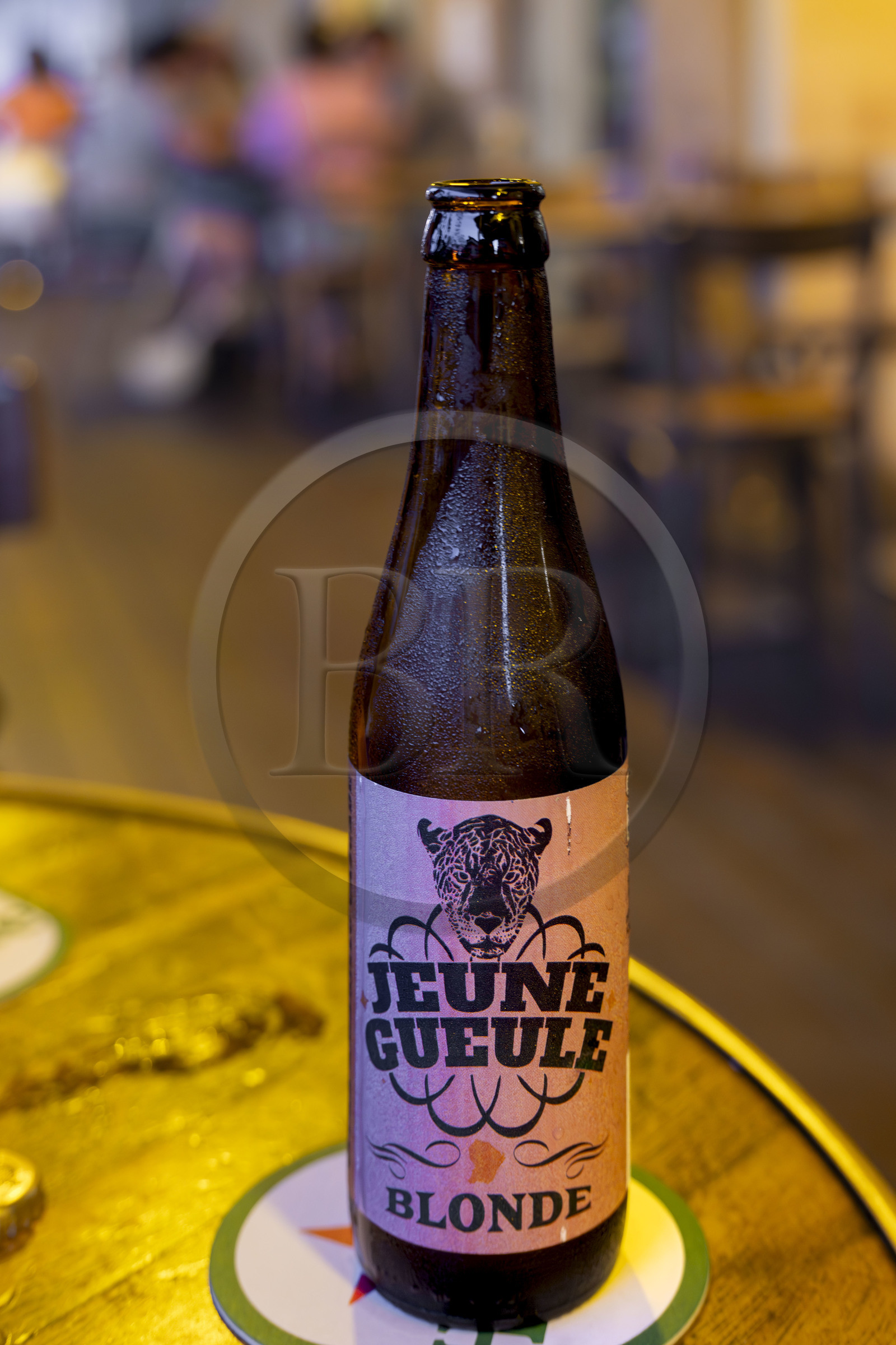 France, French Guiana, Cayenne, Place des Palmistes, terrace of the Les Palmistes hotel restaurant, bottle of the local beer Jeune Gueule (jungle)