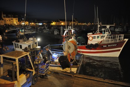 France, Loire-Atlantique (44),  port de La Turballe, retour de pêche au petit matin