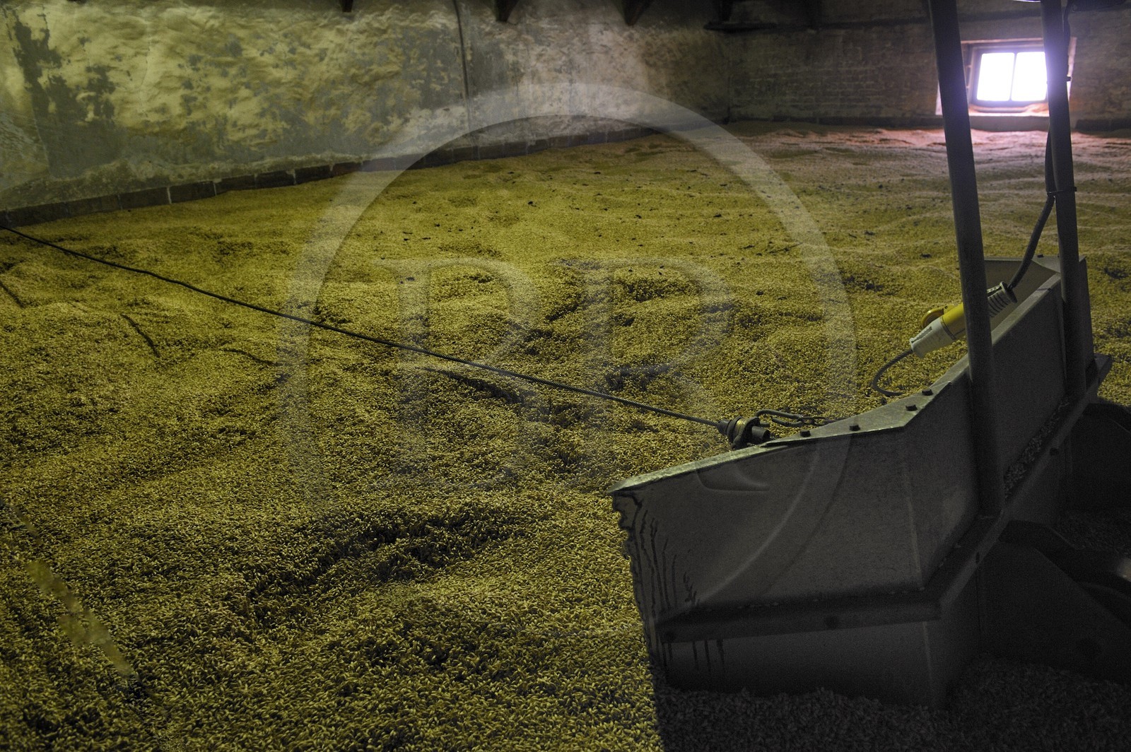 Royaume-Uni, Ecosse, Hébrides intérieures, Ile de Islay, Port Ellen, distillerie de whisky Laphroaig, le maltage de l'orge