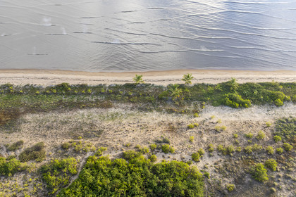 France, Guyane, Kourou, zones humides, forêts et savanes protégées dans l'enceinte du centre spatial et gérées par l'Office National des Forêts (ONF), elle est bordée au Nord-Est par la plage de sable (vue aérienne)