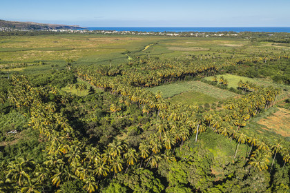 France, Ile de la Reunion, Saint-Paul, cultures et plantations d'arbres fruitiers en bordure de la réserve naturelle nationale de l'Etang de Saint-Paul (vue aérienne)