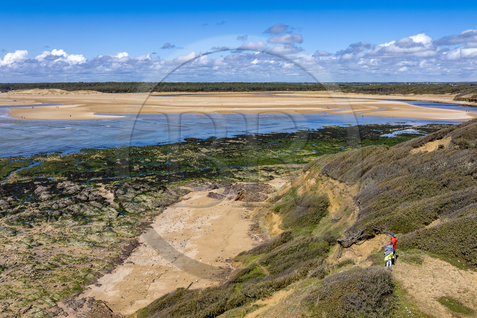 France, Vendée (85), Jard-sur-Mer, la Pointe du Payré, la plage du Veillon et estuaire de la rivière Payré (vue aérienne)