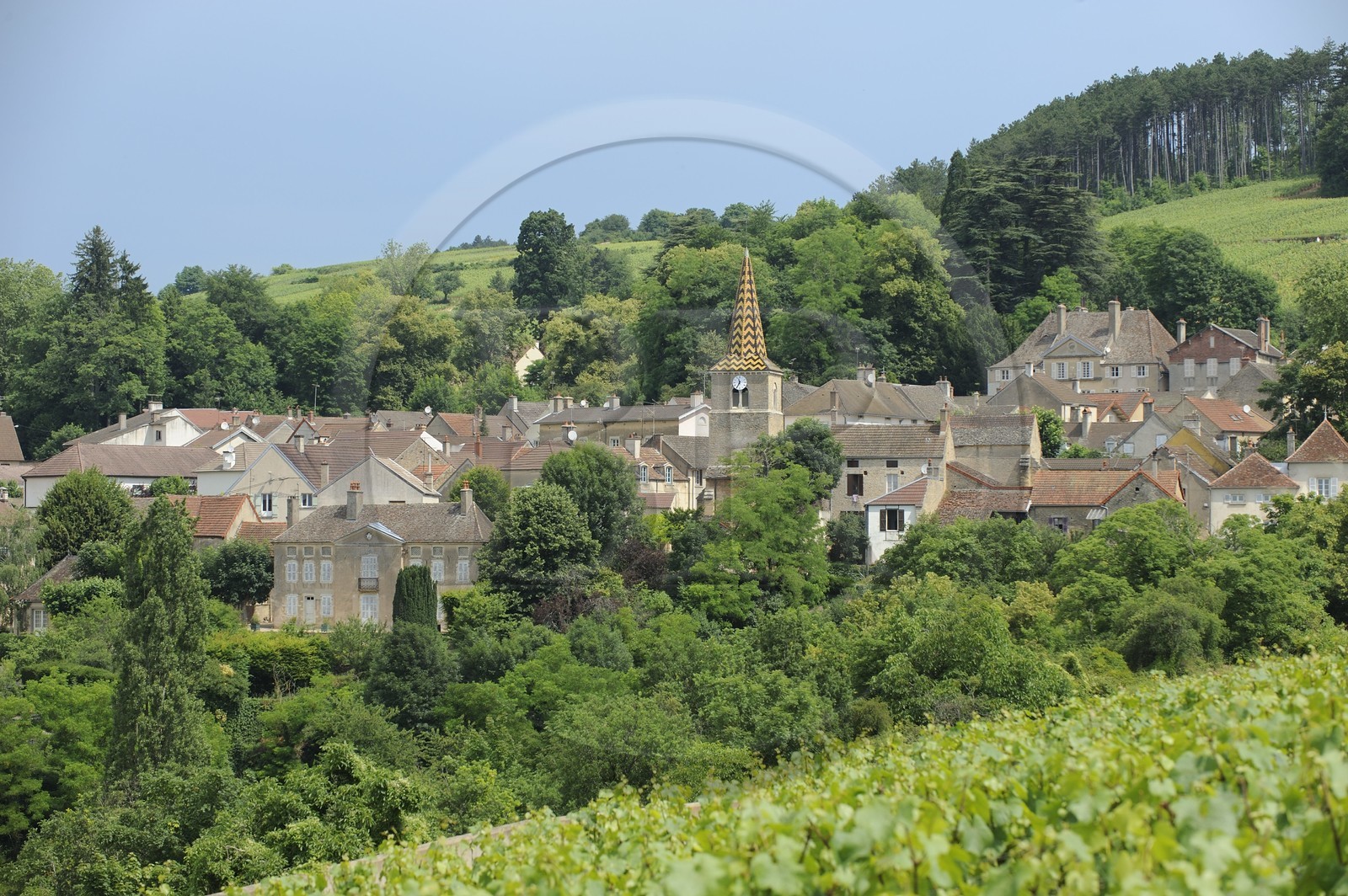France, Côte d'Or (21), le village de Pernand-Vergeles