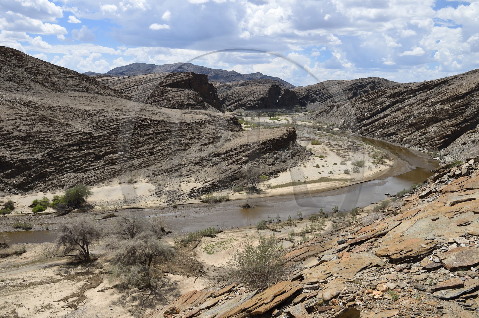 Namibie, région de Erongo, parc national Namib Naukluft, désert du Namib, kanyon de la rivière Kuiseb un rare jour où elle coule