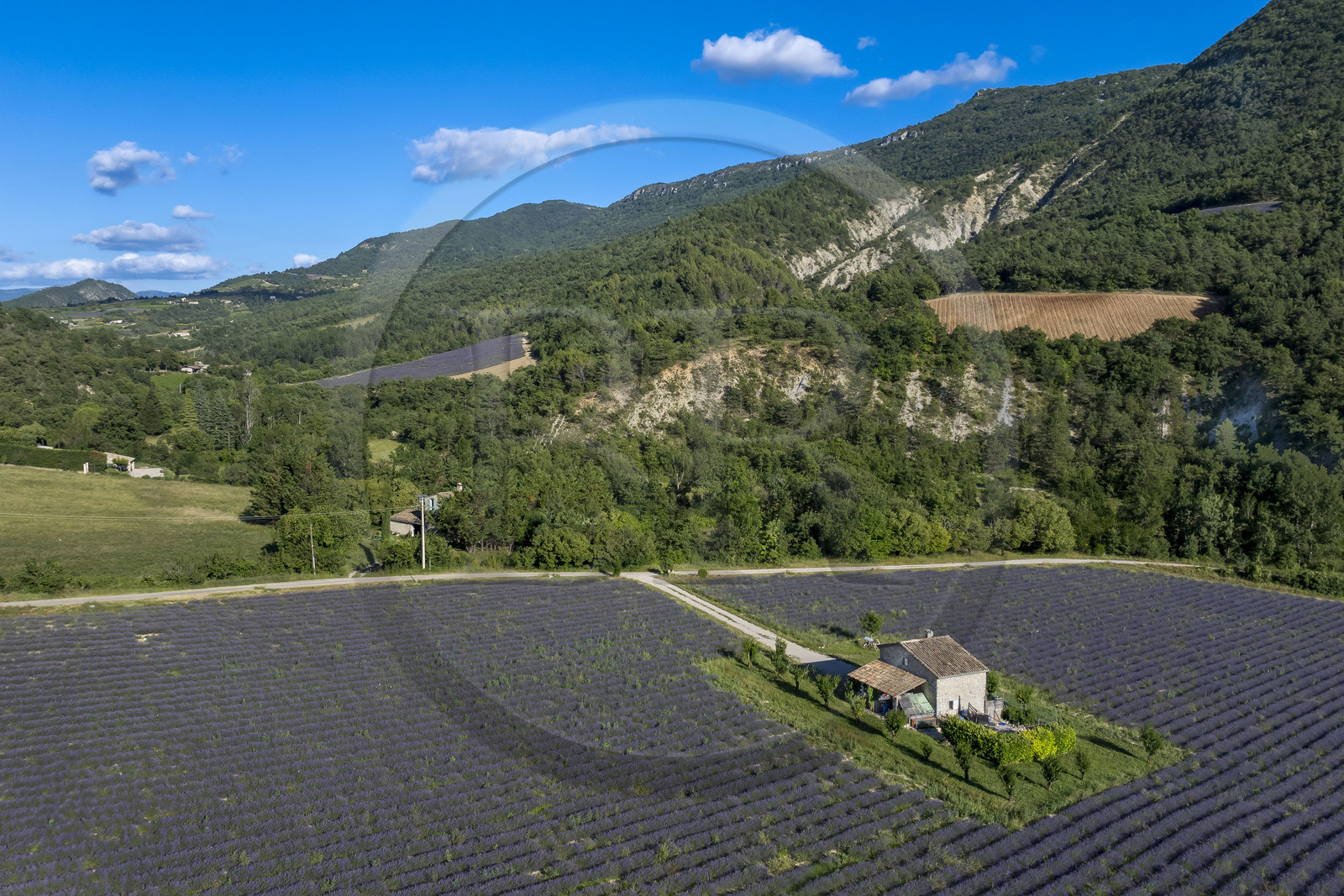 France, Drôme (26), parc naturel régional des Baronnies provençales, Vercoiran, maison au centre d'un champ de lavande (vue aérienne)