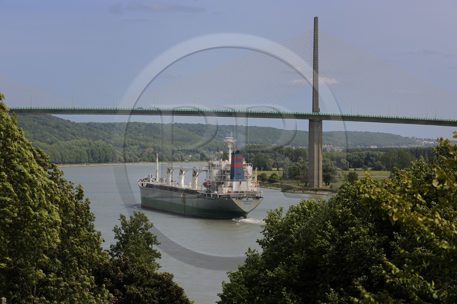 France, Seine-Maritime (76), Caudebec-en-Caux, Pont de Brotonne, bateau de haute Bulk Carrier Dobrota mer remontant la Seine en direction du port de Rouen