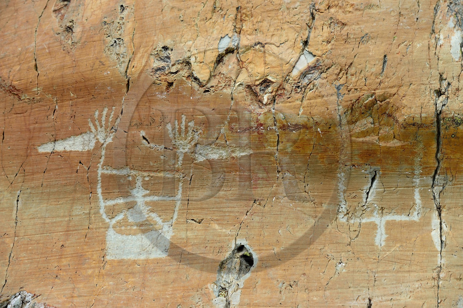 France, Alpes-Maritimes (06), parc national du Mercantour, vallée des Merveilles parsemée de milliers de gravures rupestres de l'Age de bronze, figure anthropomorphe gravée sur la roche dite du Sorcier sur les dalles de schiste jaune des chiappes