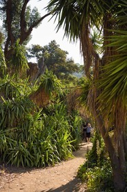 France, Var, Le Rayol Canadel sur Mer, Domaine du Rayol, Conservatoire du Littoral Estate compulsory mention, Jardin des Mediterranees designed by landscaper Gilles Clément,