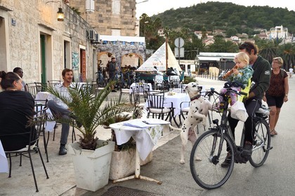 Croatie, Dalmatie, cote dalmate, Ile de Vis, village de Vis, chien dalmatien et son maitre