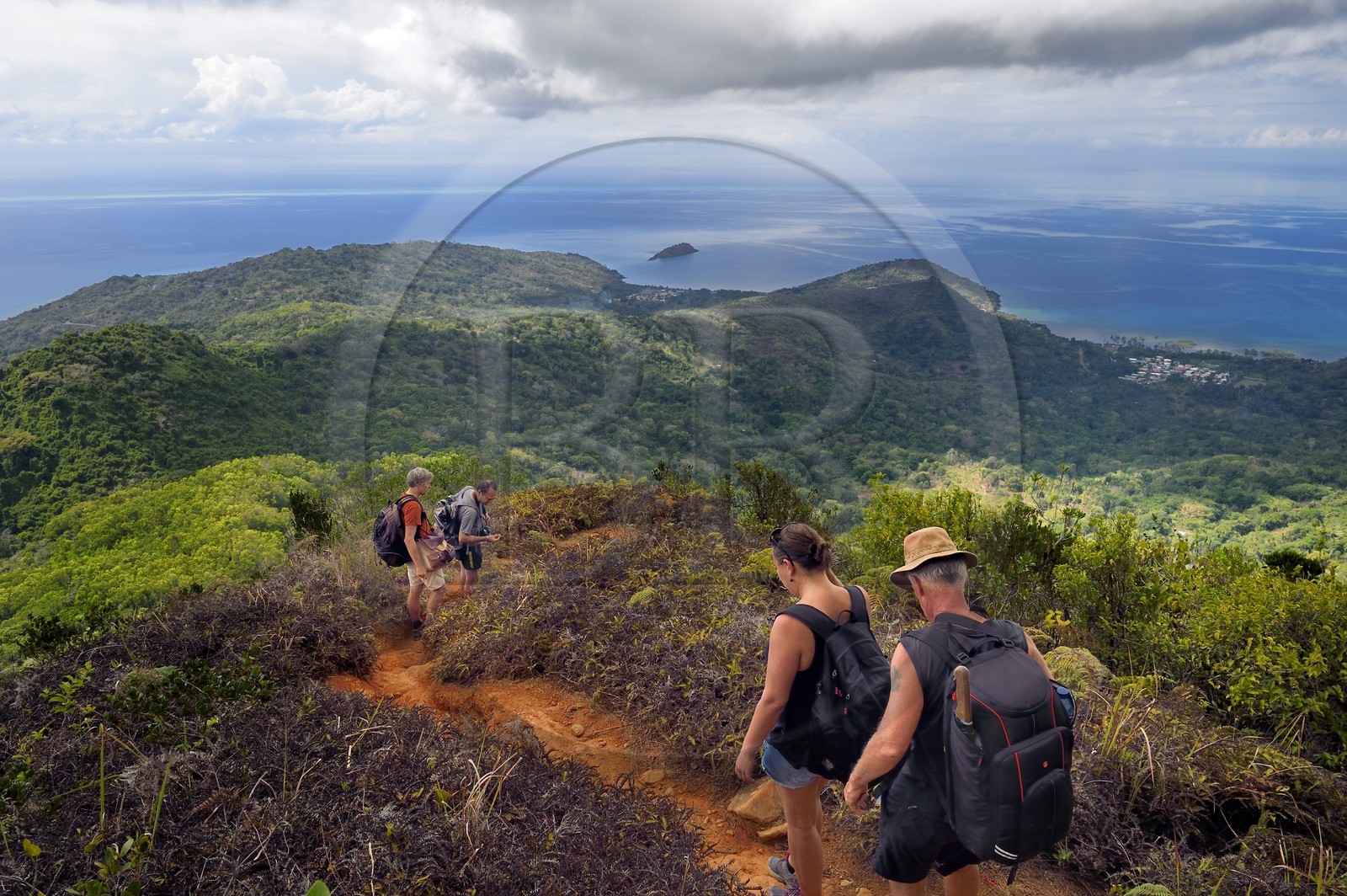 France, Mayotte island (French overseas department), Grande-Terre, Southern Crete Forest Reserve (Reserve Forestiere des Cretes du Sud), hikers coming down from the summit of Mount Choungui (594 meters)