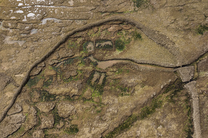 France, Charente-Maritime (17), Ile d'Oléron, Saint-Georges-d'Oléron, plage des Sables Vignier à marée basse, l'écluse à poissons des Basses (vue aérienne)