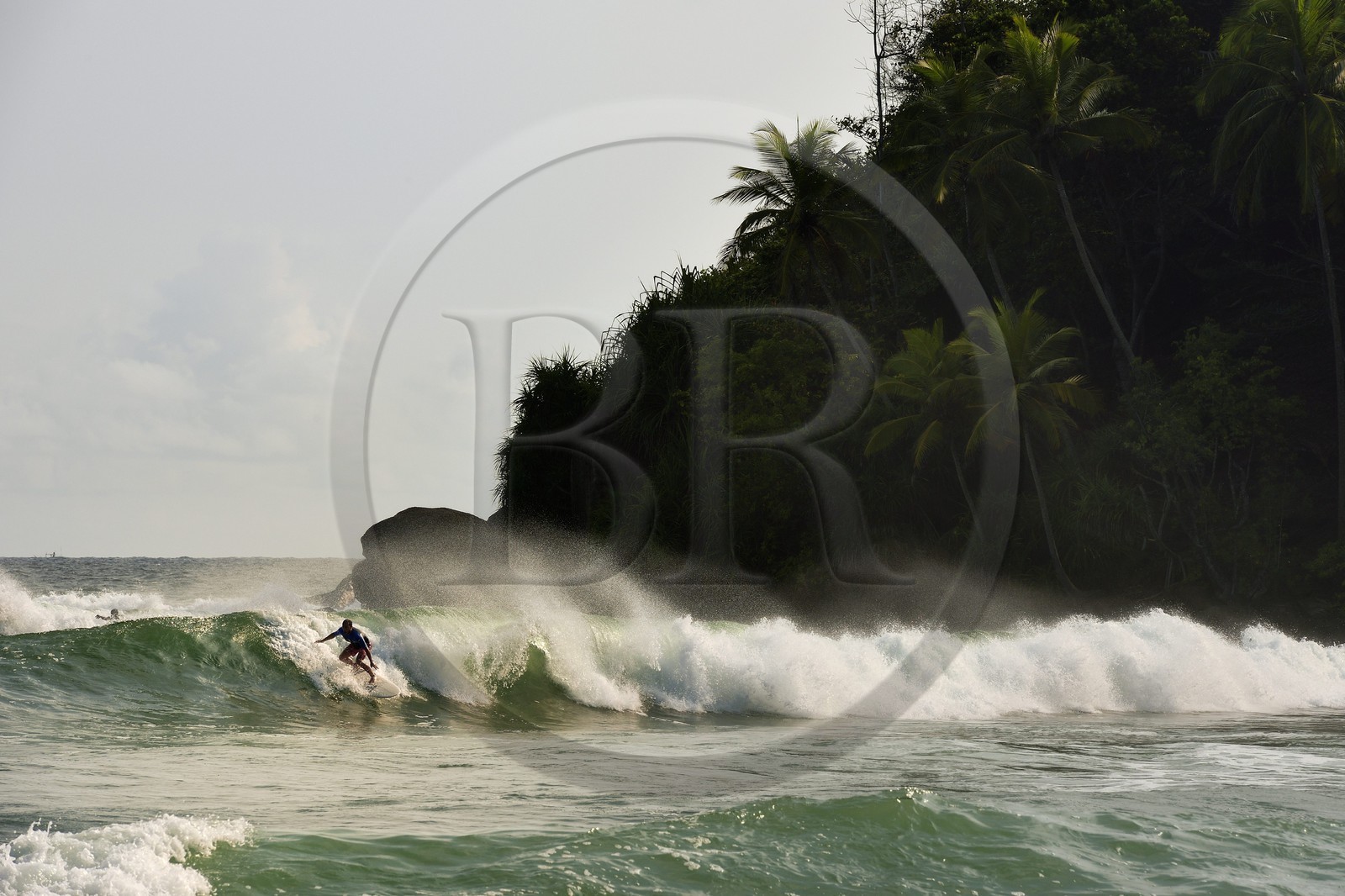 Sri Lanka, Province du Sud, Matara (district), Weligama, plage de Mirissa, surfeur