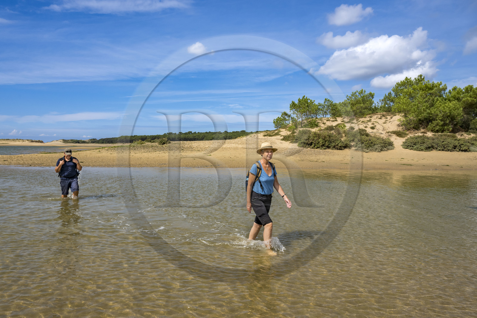 France, Vendée (85), Talmont-Saint-Hilaire, la Pointe du Payré, traversée de l'embouchure du Payré à marée basse par des randonneurs