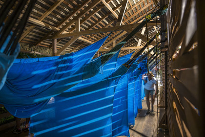 France, French Guiana, Kourou, the carbet (shelter) at Camp Maripas on the banks of the Kourou river, hammocks suspended under the rafters