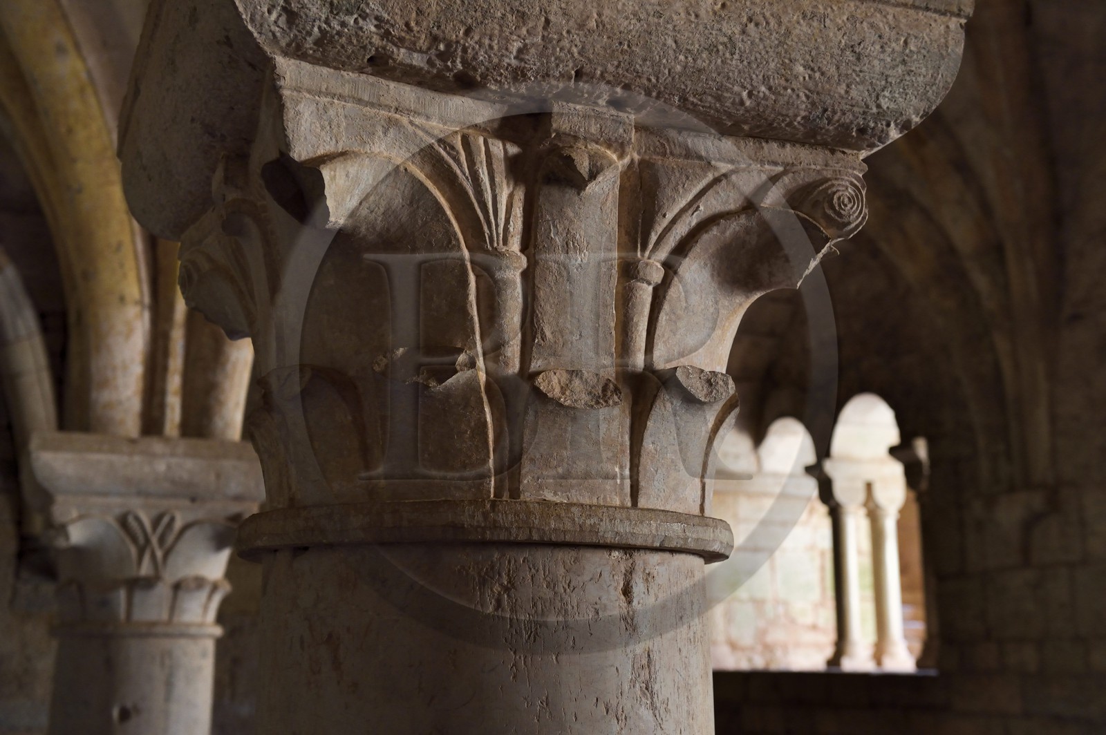 France, Var, the Thoronet cistercian abbey, the cloister chapter house