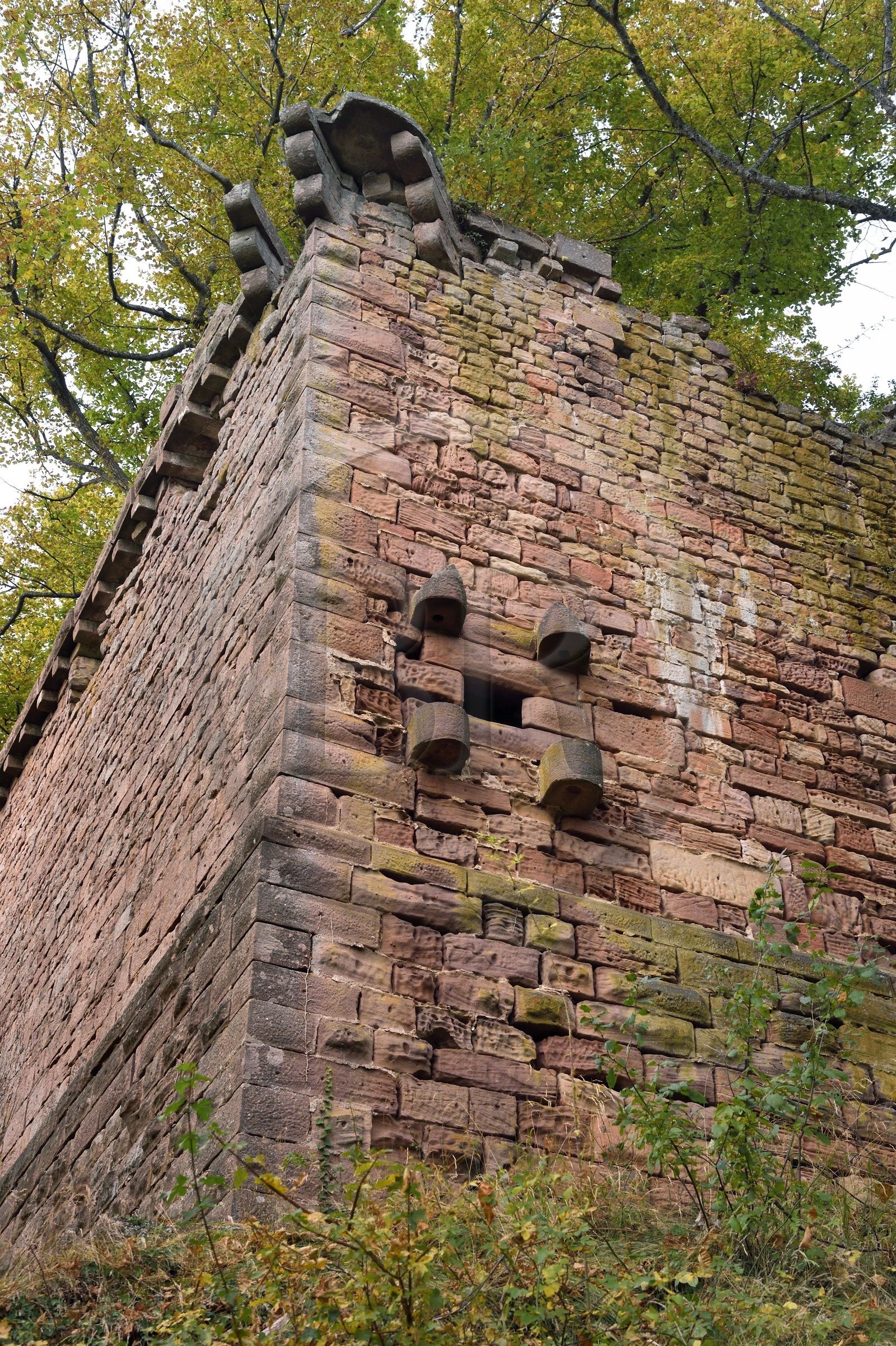 France, Bas-Rhin (67), Heiligenstein, chateau du Landsberg du XIIIème siècle, bastion du XVème siècle avec canonnière à volets