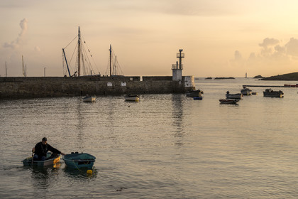 France, Finistère (29), Mer d'Iroise, Ile de Molène, le port au petit matin