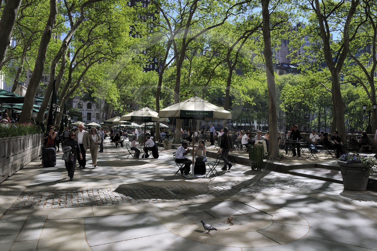 Etats-Unis, New York, Manhattan, Midtown, Bryant Park