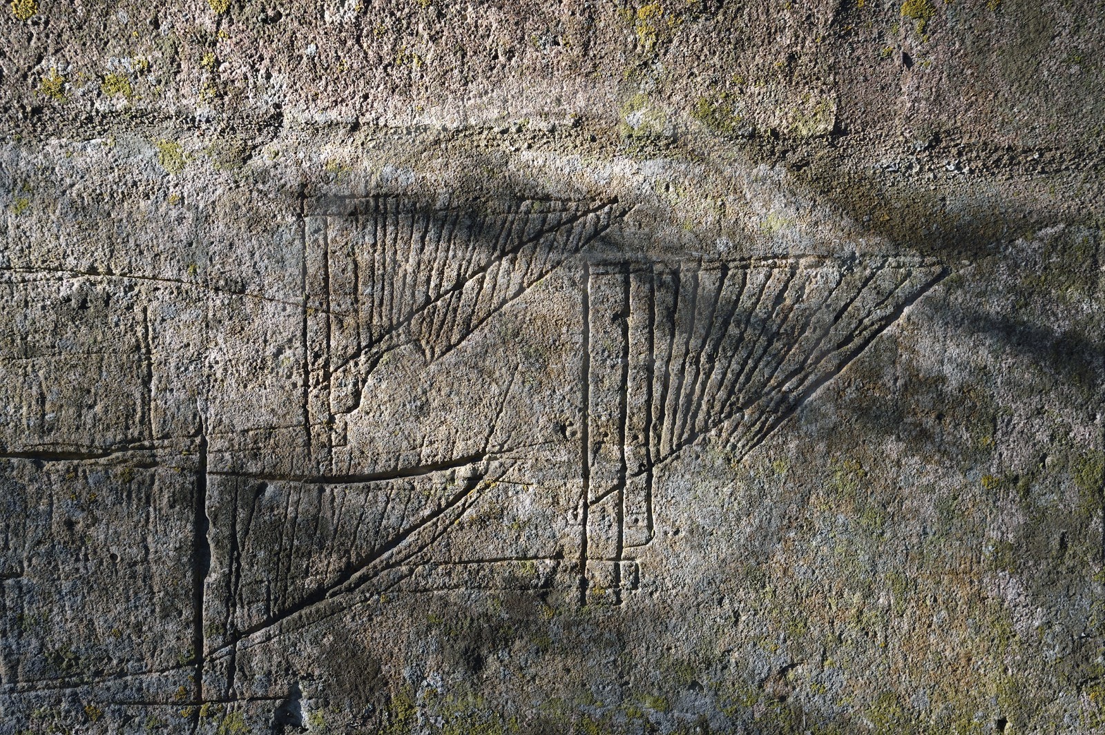 France, Charente, Saint Simon, a barge plan engraved on a wall of the port of Juac, rudders blanks