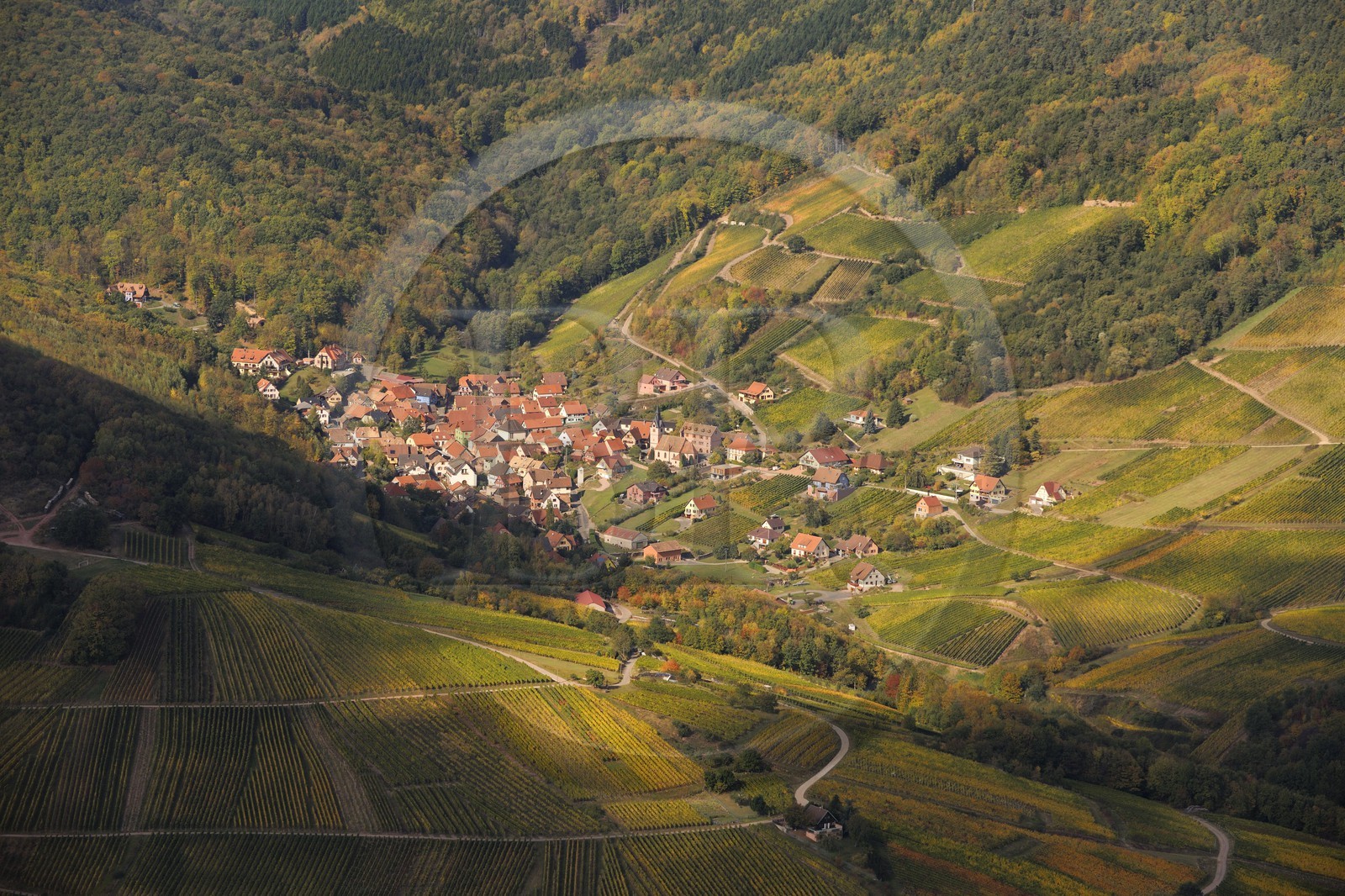 France, Bas-Rhin (67), le village de Reichsfeld et son vignoble dans le massif des Vosges (photo aérienne)
