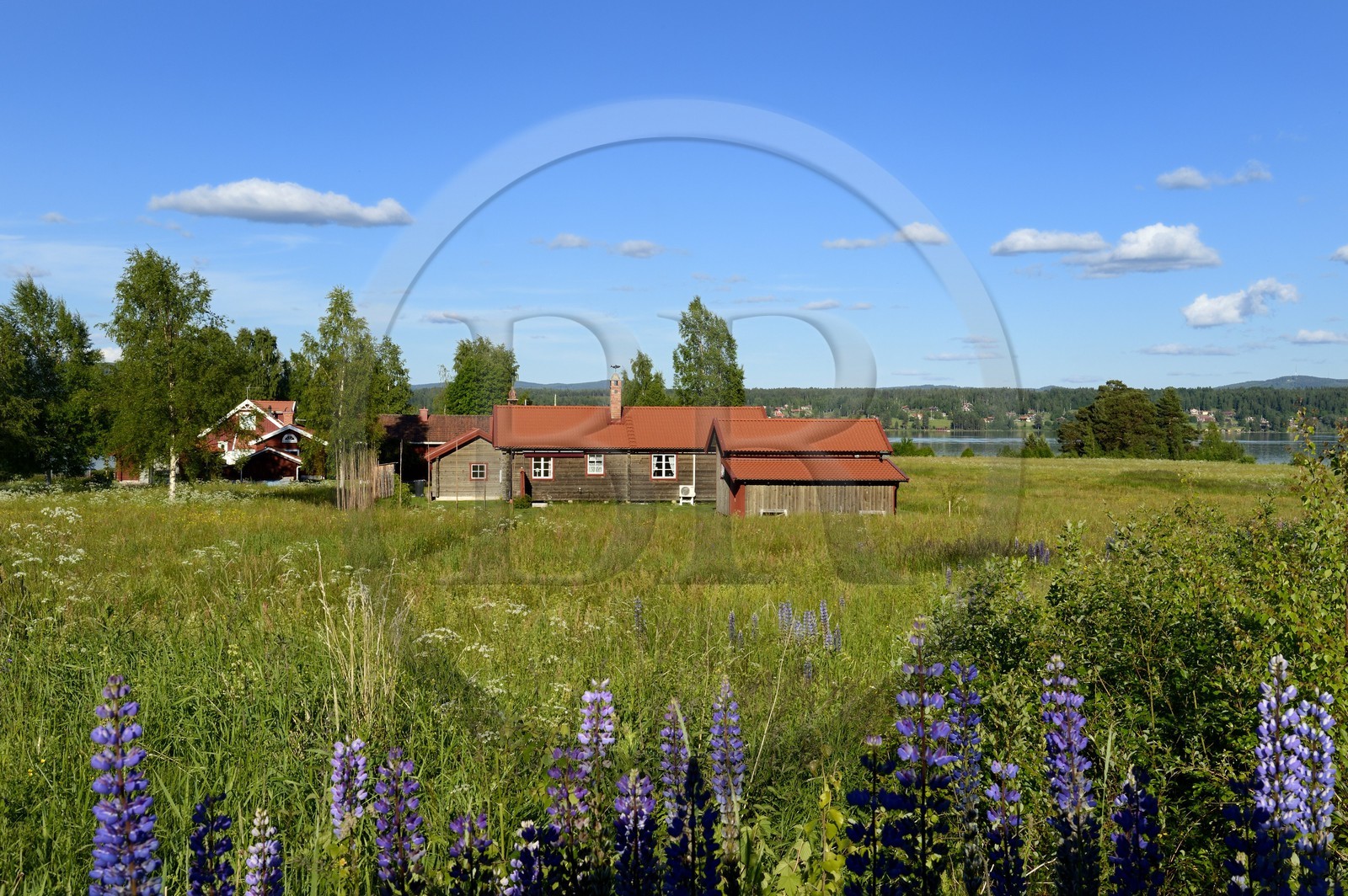 Sweden, Dalarna County, Leksand area, farm in the tiny hamlet of Hjulbäck on the shore of Lake Siljan