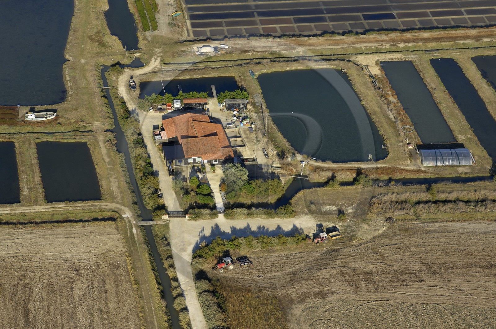 France, Charente-Maritime (17), Ile Madame, ferme ostreicole (vue aérienne)