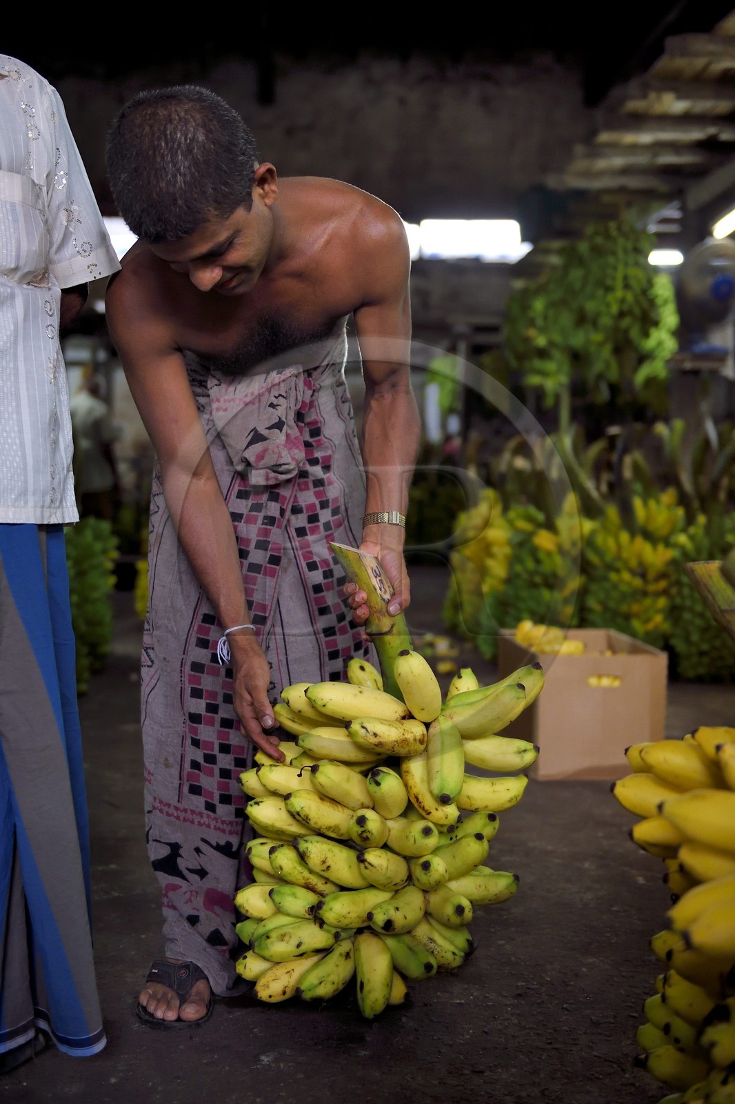 Sri Lanka, province de l'ouest, district de Colombo, Colombo, le marché de fruits et légumes Manning dans le quartier de Pettah