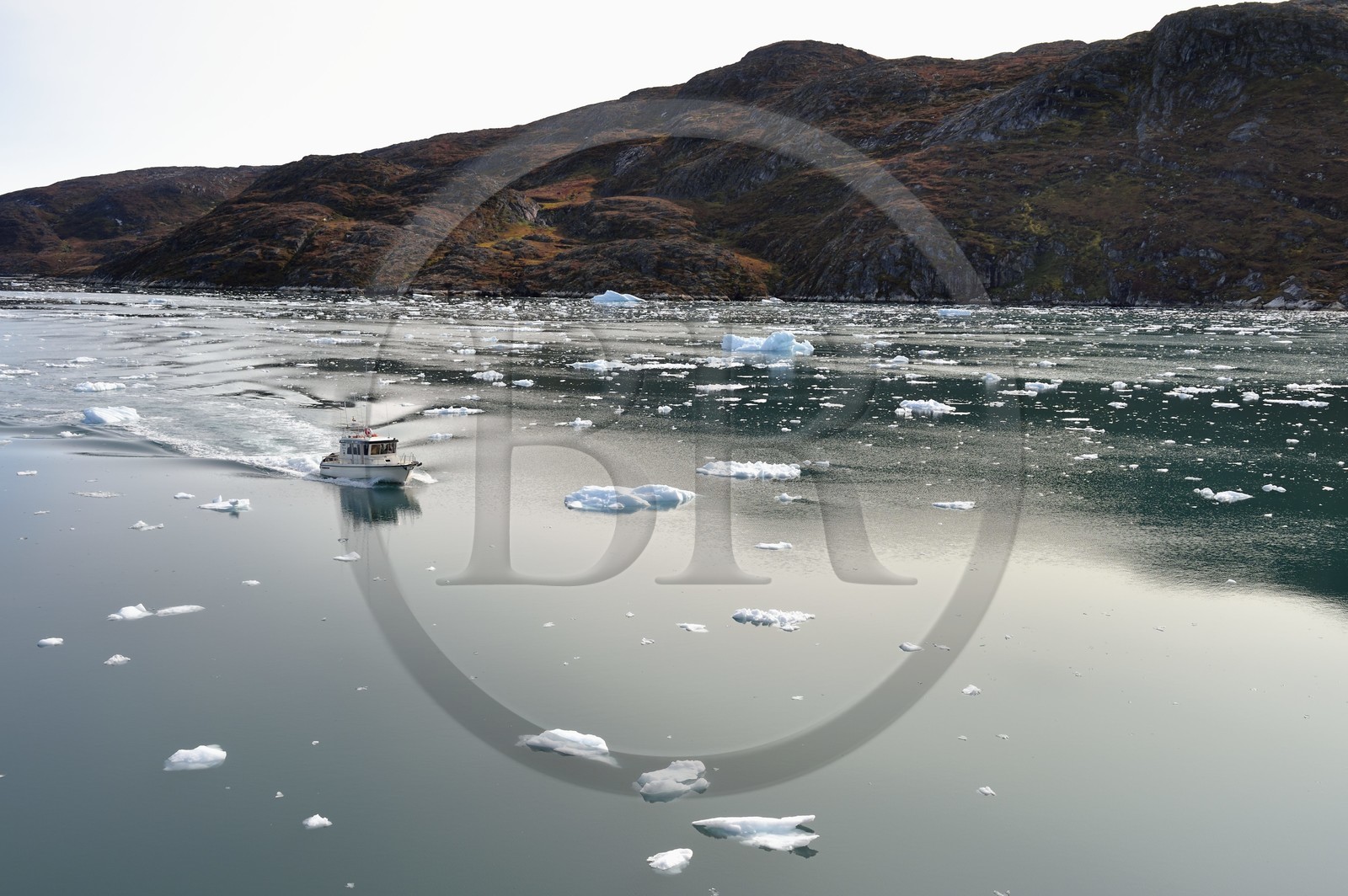 Groenland, cote ouest, baie de Disko, baie de Quervain, bateau de tourisme progressant au milieu des icebergs
